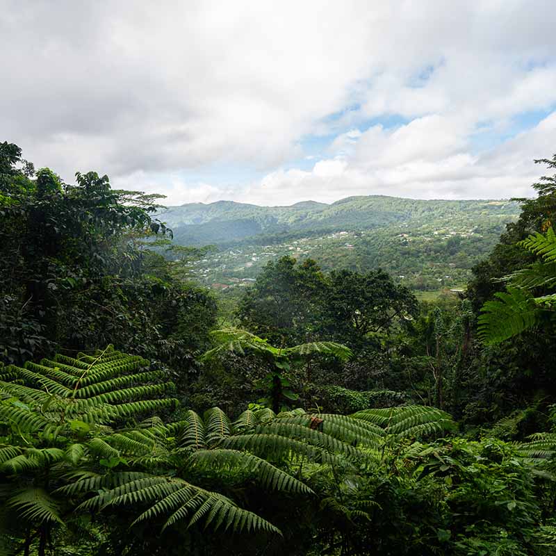 View of Alpia on Somaon island.