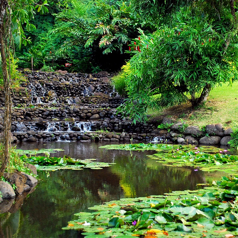 UTAA Tours Vaipahi Garden